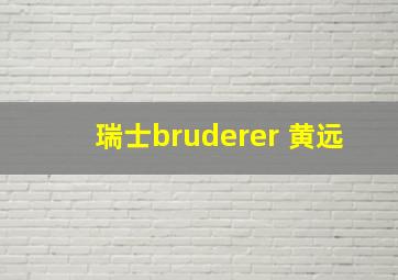 瑞士bruderer 黄远